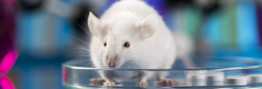 Proteina CMTM6 în Charcot Marie Tooth